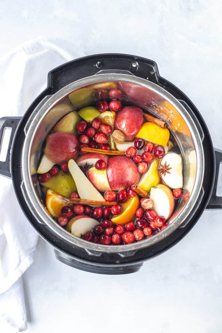 All the ingredients in the instant pot