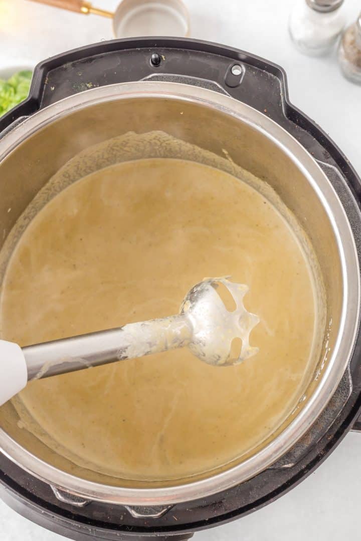 hand immersion blender in the soup purée