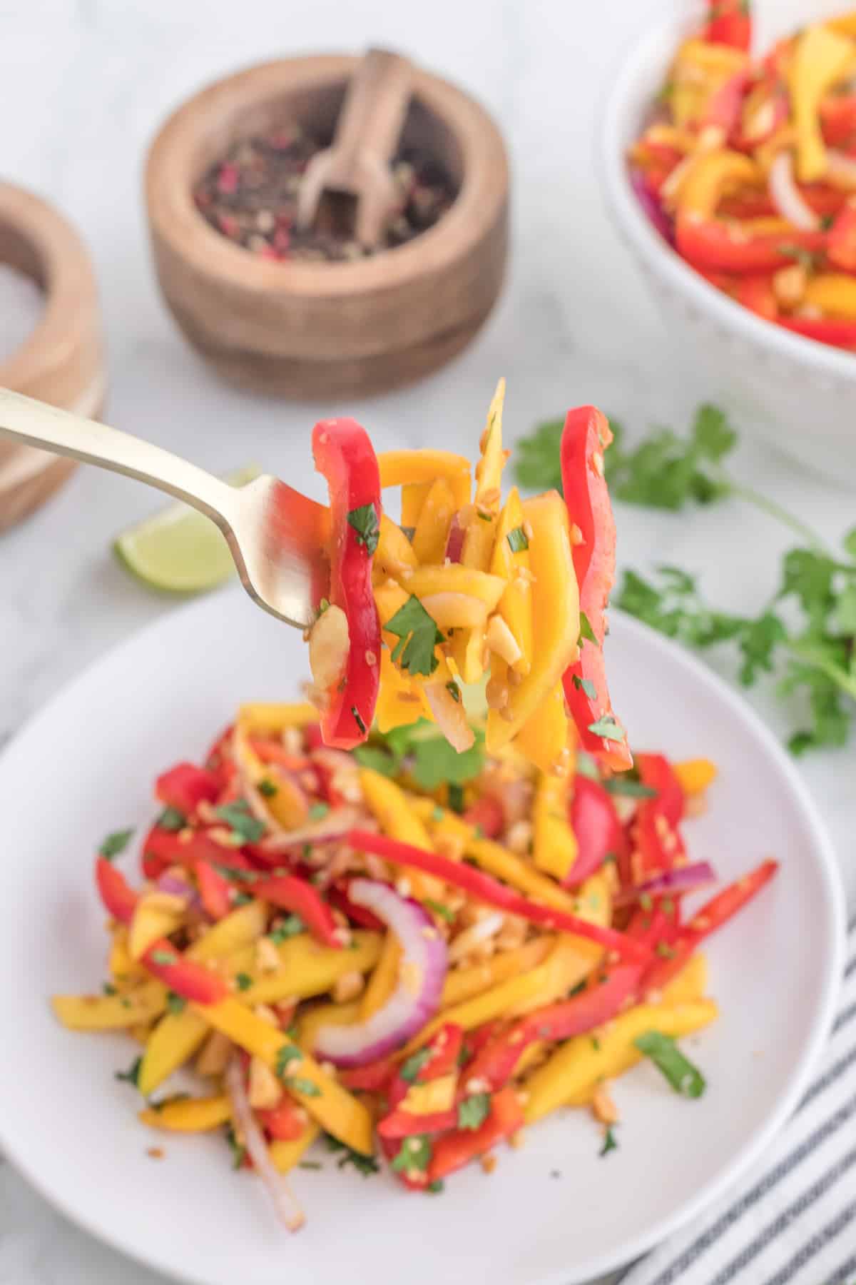 fork with mango Thai salad.
