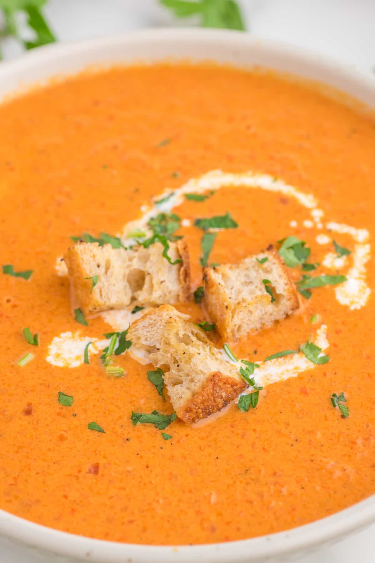 Roasted red pepper bisque serve in a white bowl with croutons for garnish, close up