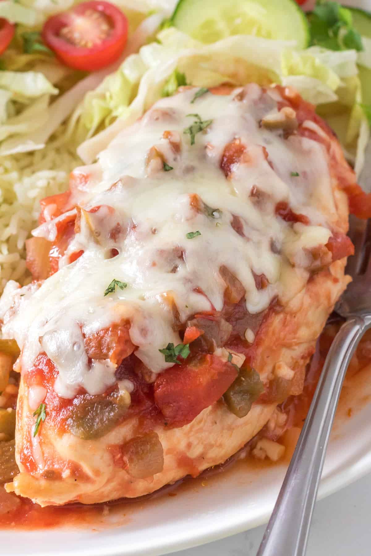 Chicken breast cooked with salsa and melted cheese on top.