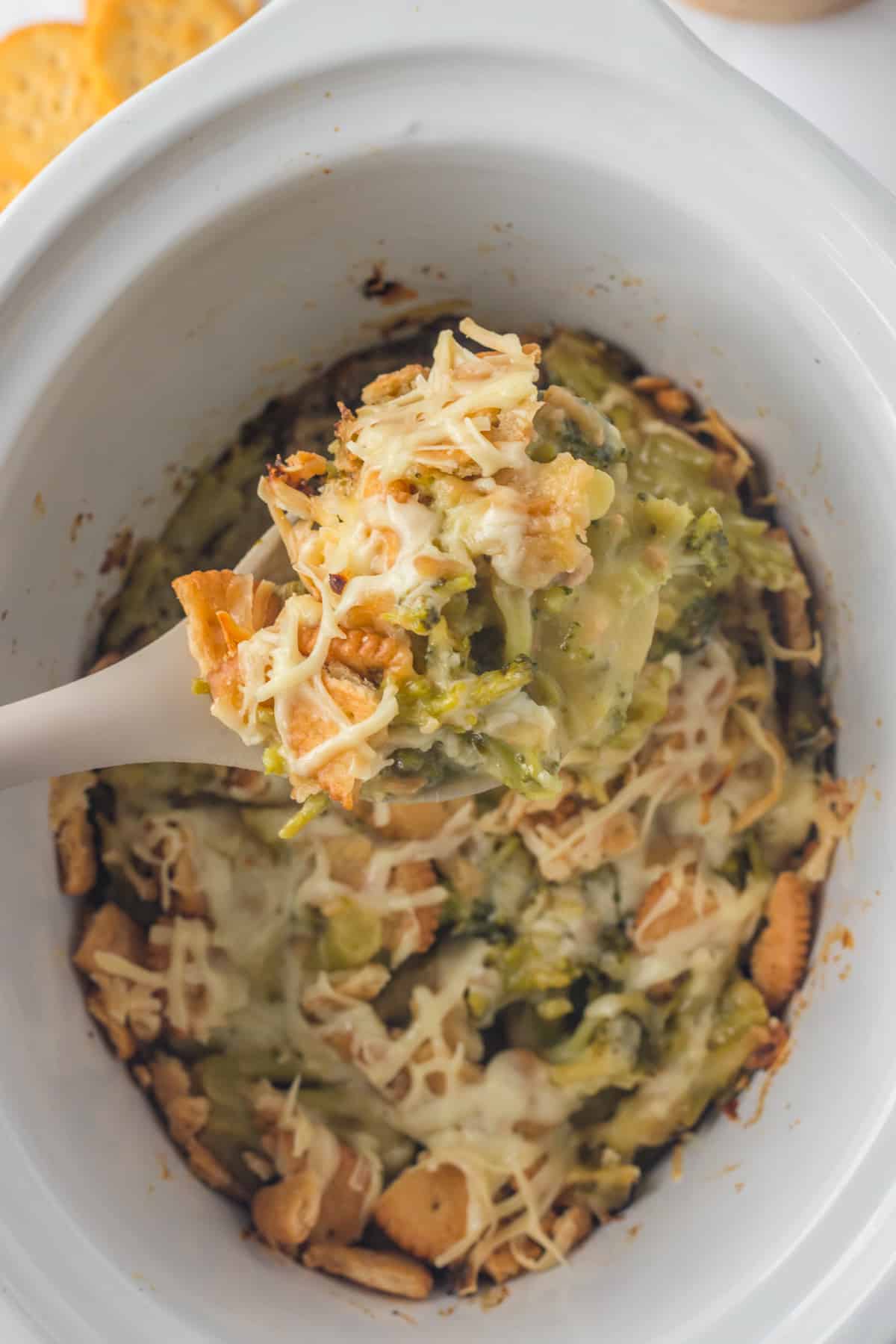 SPOONFULL OF CROCKPOT CHEESY BROCCOLI CASSEROLE