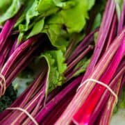Close-up of several bundles of fresh beet greens with vibrant pink stems and green leaves, held together by rubber bands.