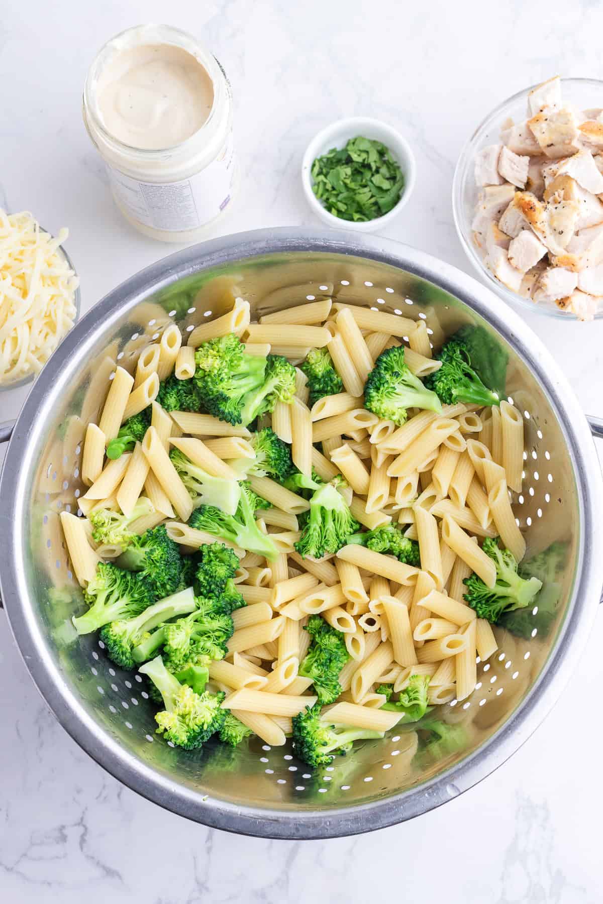 Colander with cooked penne pasta and broccoli, surrounded by bowls of cooked chicken, shredded cheese, chopped herbs, and a jar of white sauce on a marble surface.
