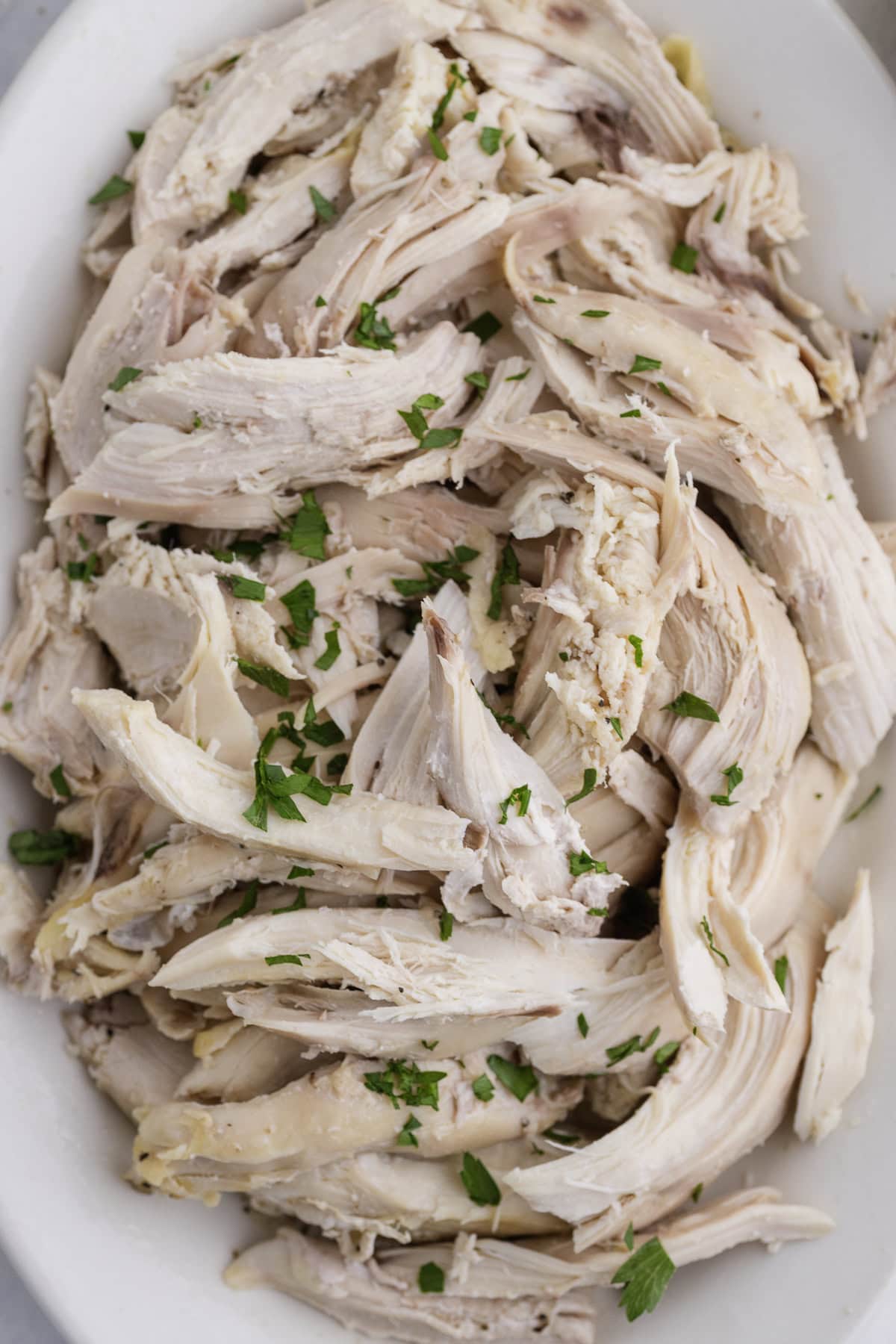 Shredded cooked chicken garnished with chopped parsley on a white plate.