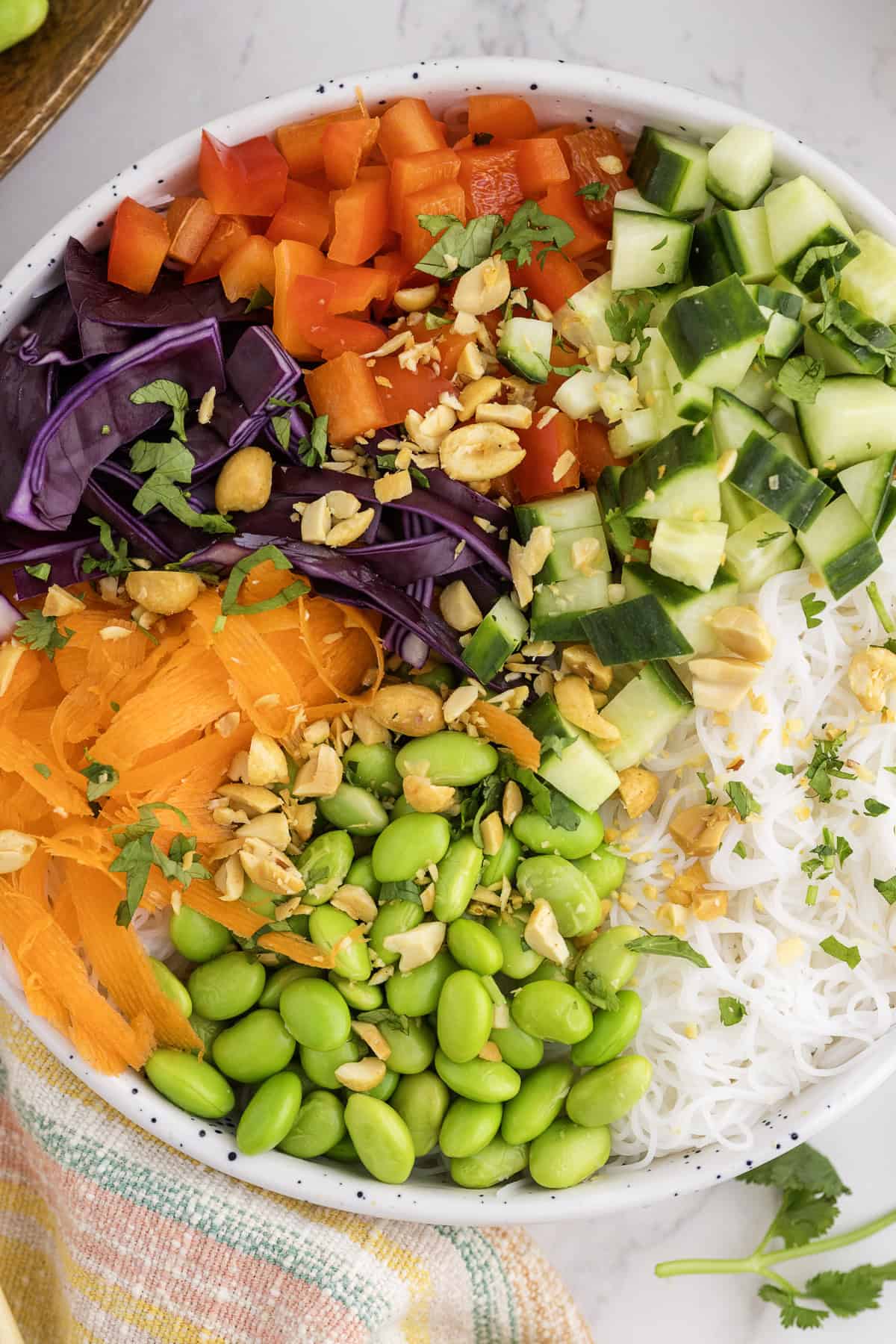 A bowl filled with rice noodles, edamame, shredded carrots, red cabbage, red bell peppers, cucumber, chopped peanuts, and fresh cilantro, arranged in sections.