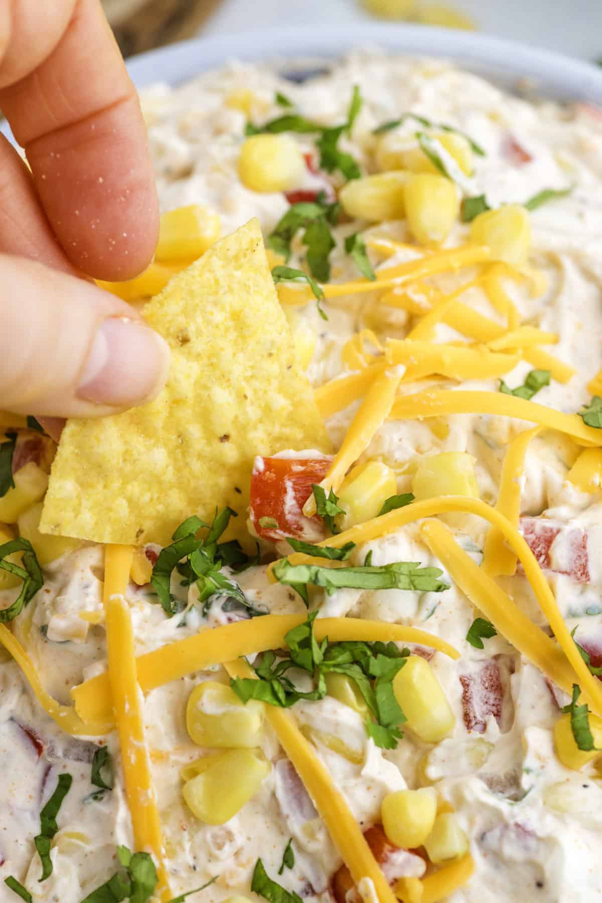 A hand dips a tortilla chip into a creamy dip topped with shredded cheddar cheese, corn, chopped tomatoes, and fresh herbs.