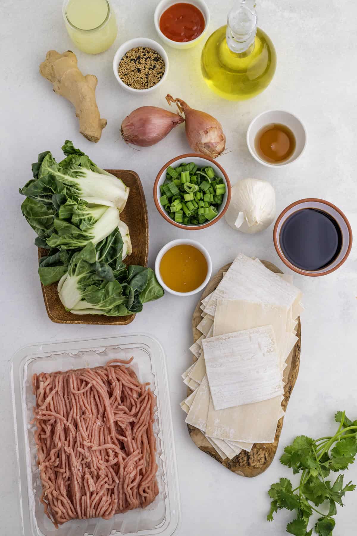 Ingredients for wontons: ground pork, bok choy, ginger, shallots, garlic, scallions, sesame seeds, soy sauce, oil, chili sauce, and dumpling wrappers.