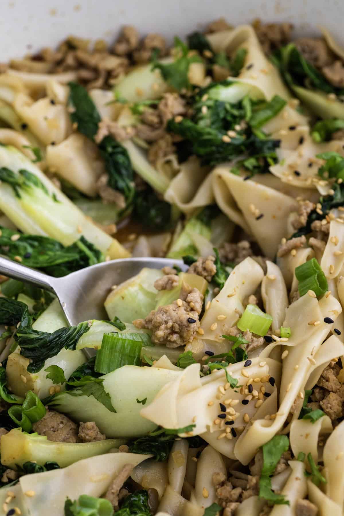Close-up of a dumpling noodle dish with bok choy, ground meat, green onions, and sesame seeds, with a spoon scooping some of the food.