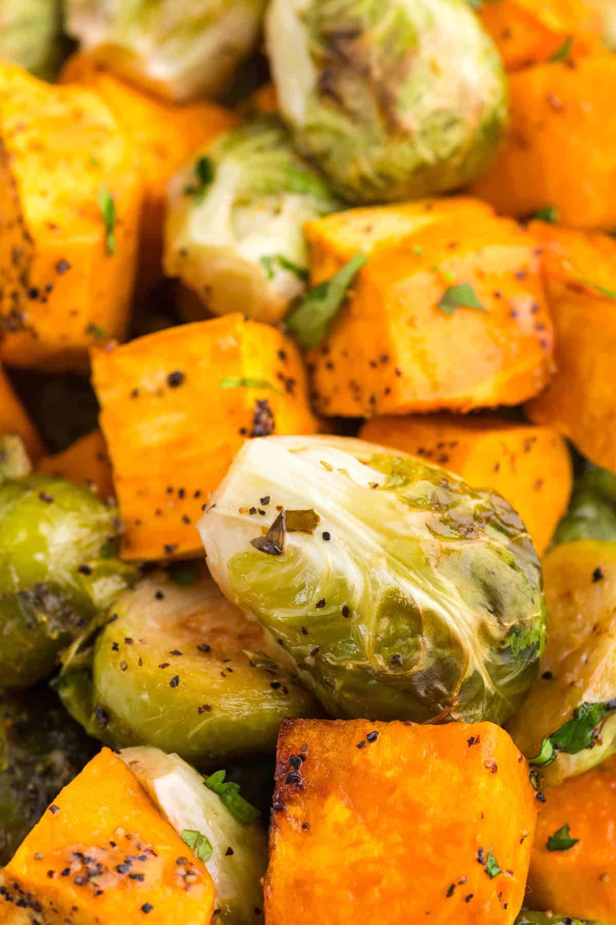 Close-up of roasted Brussels sprouts and sweet potato cubes seasoned with herbs and black pepper.